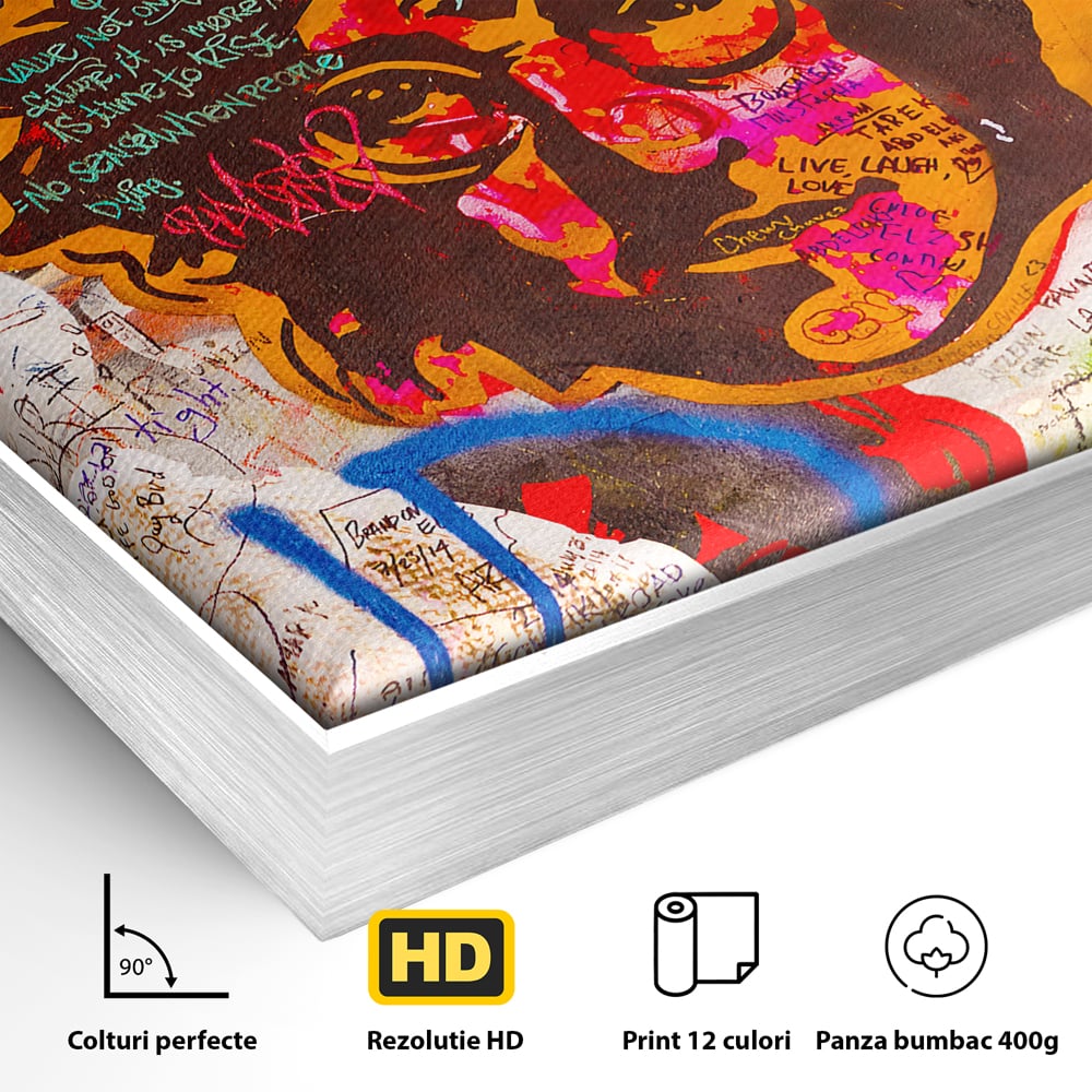 Detaliu al suprafetei: tablou canvas cu john lennon si graffiti, in rama de aluminiu argintiu